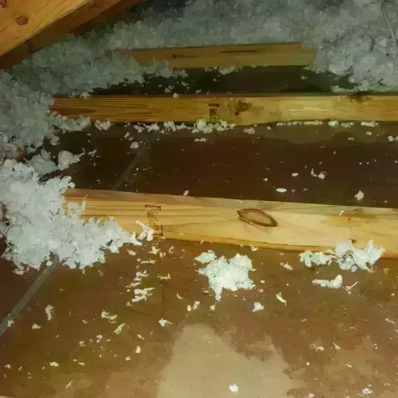 Attic Water Damage in Chepachet, RI