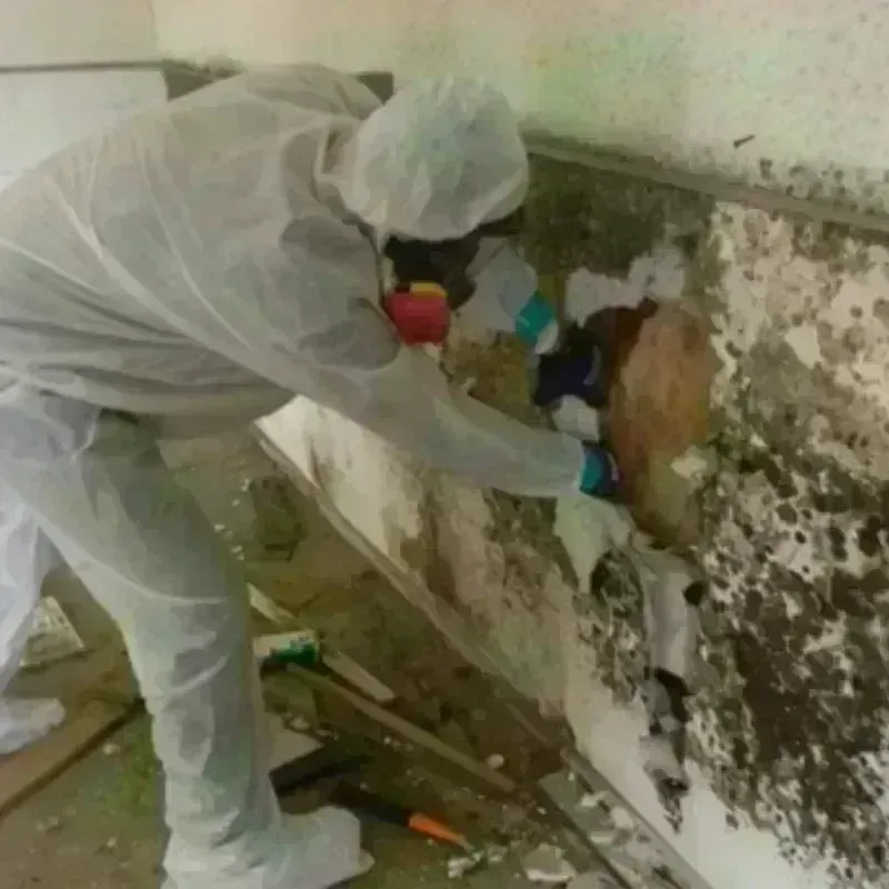 Mold Remediation and Removal in Chepachet, RI